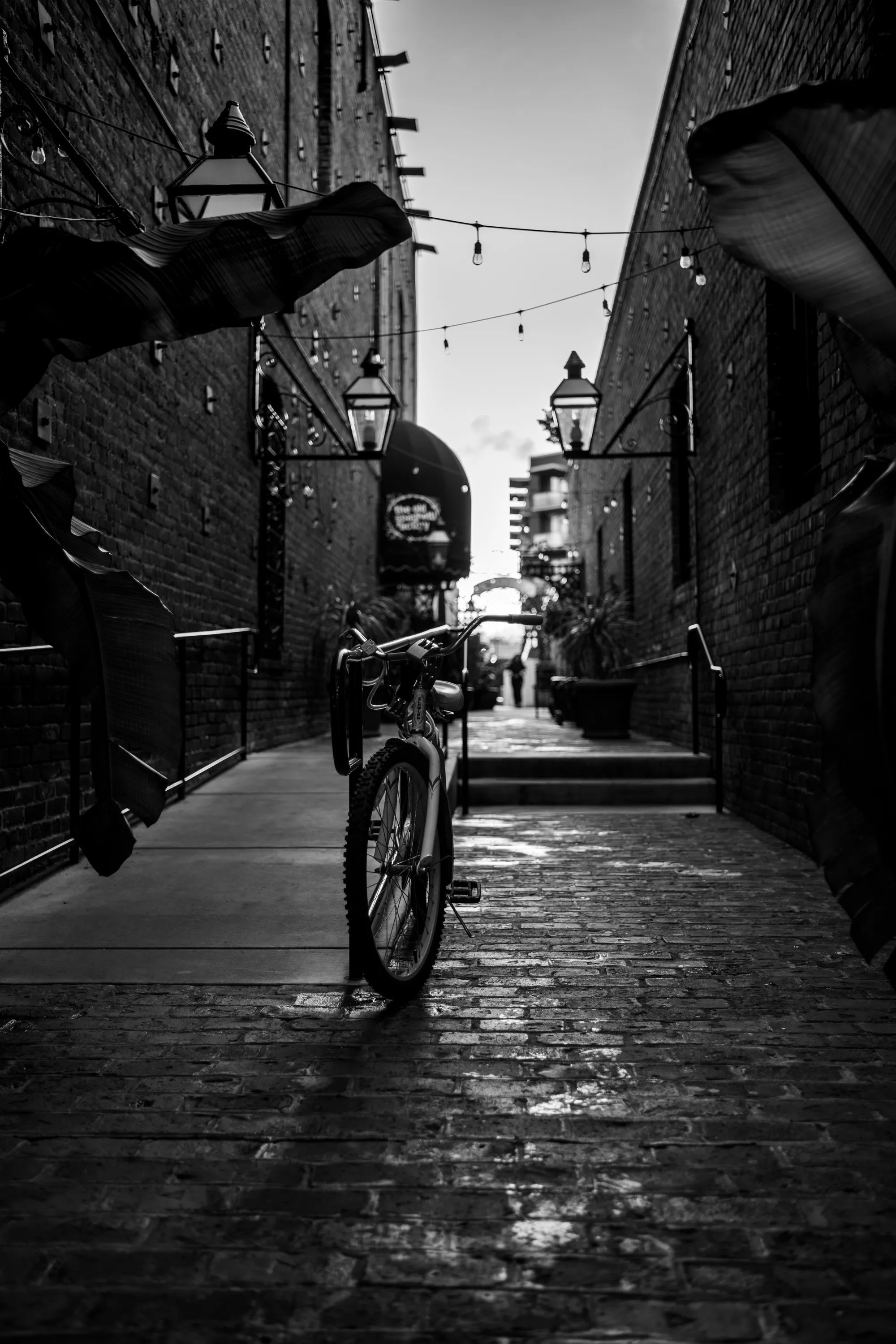 Lanes And Lamplight — Street