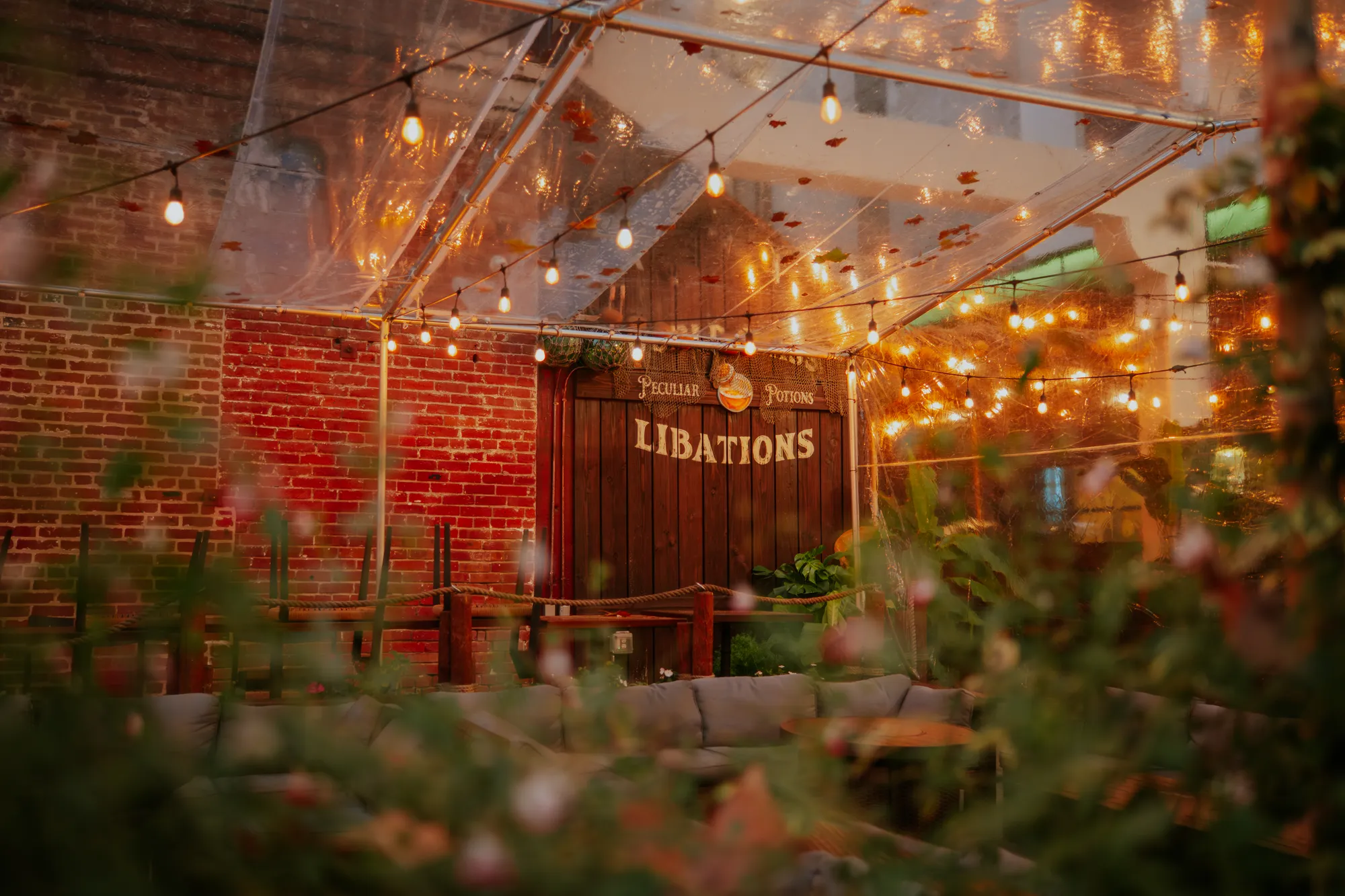 Libations — Street