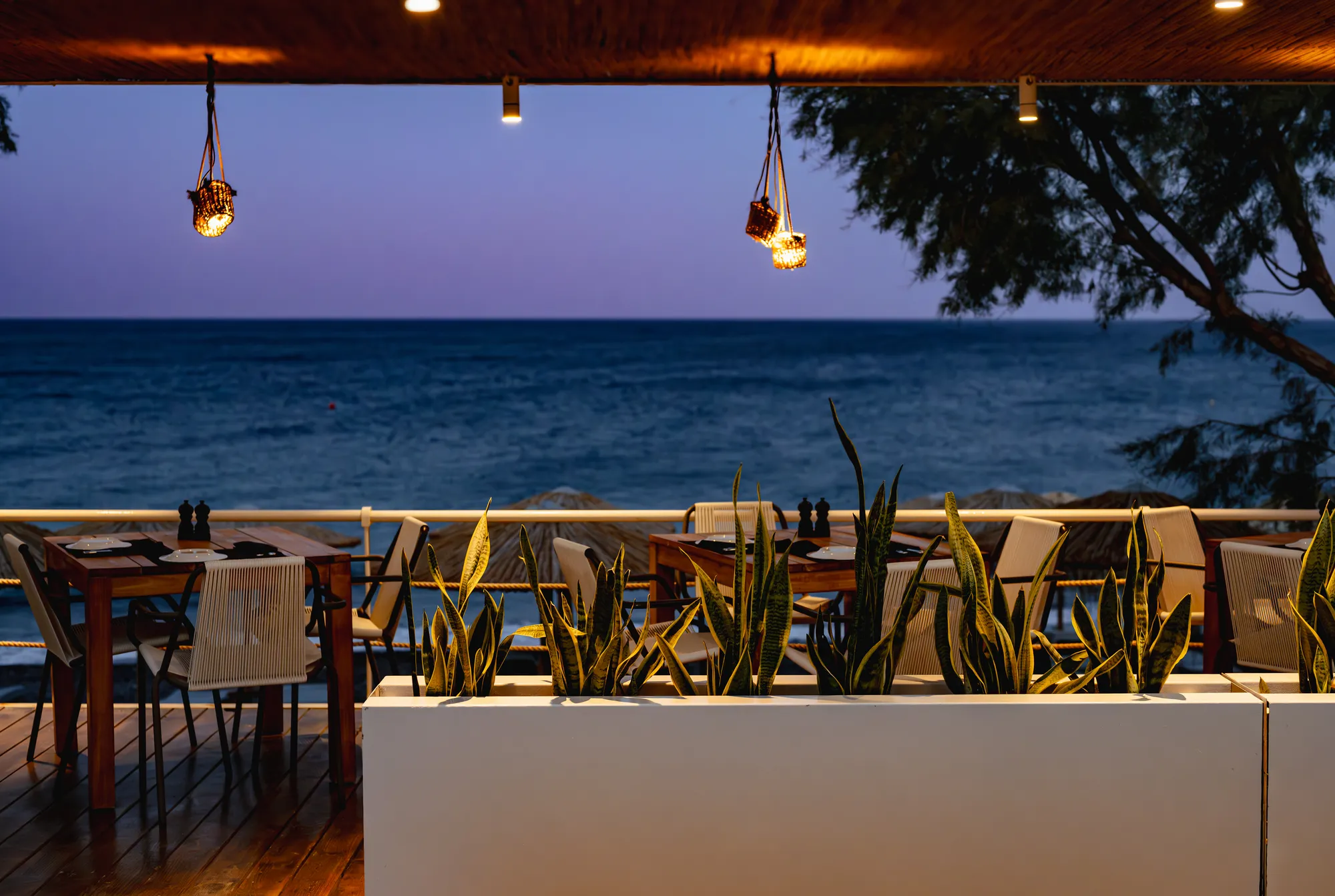 Table By The Sea — Landscape