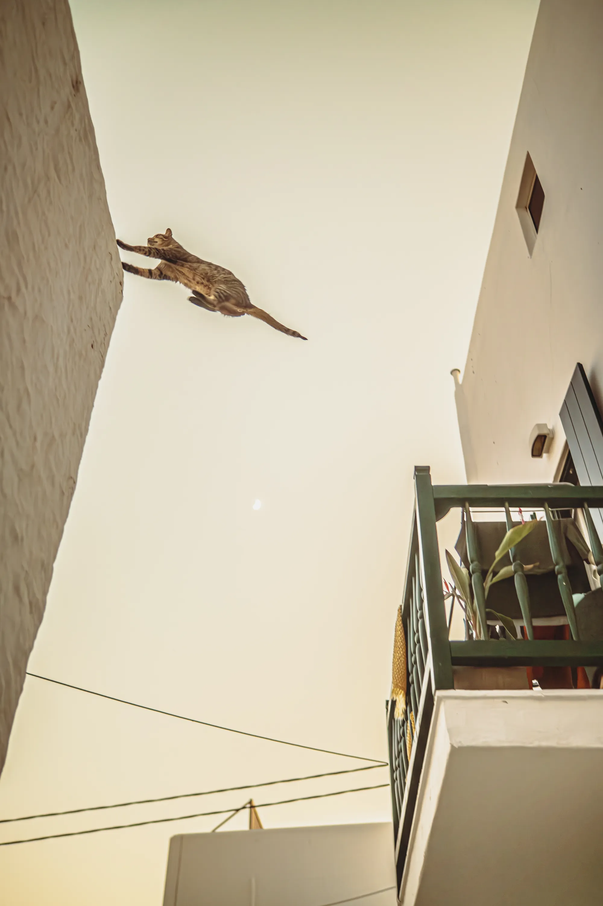 The Leap — Street